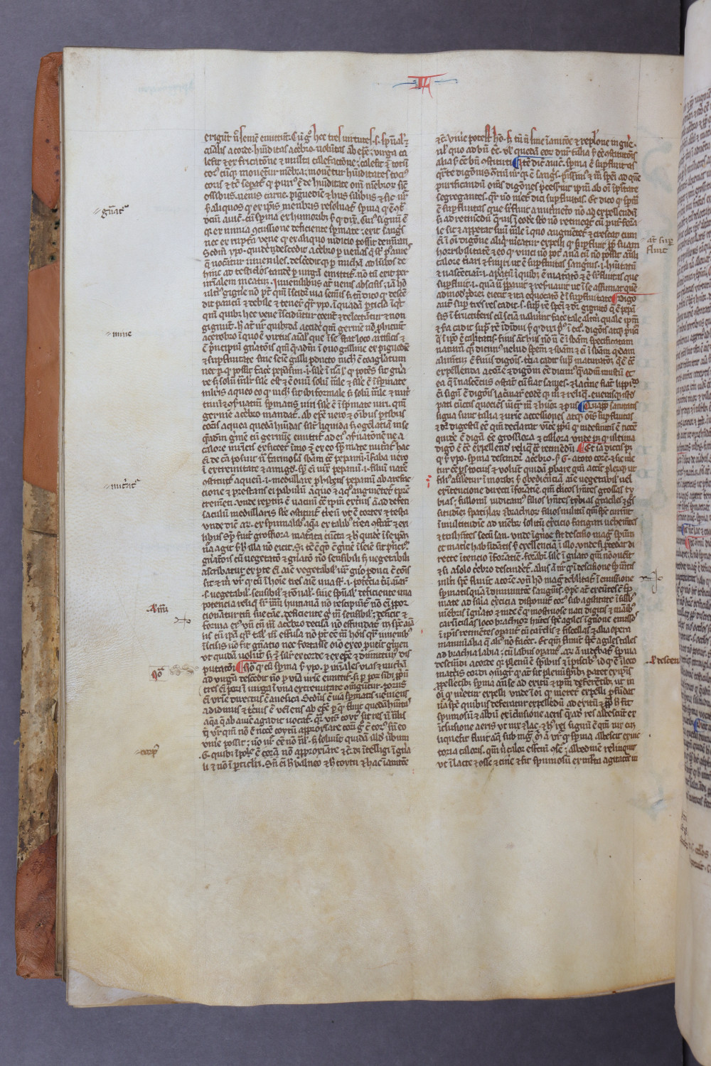 Folio 130 verso